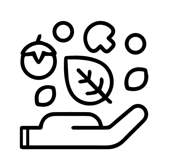 Line drawing of a hand holding a leaf and fruits and vegetables above it 