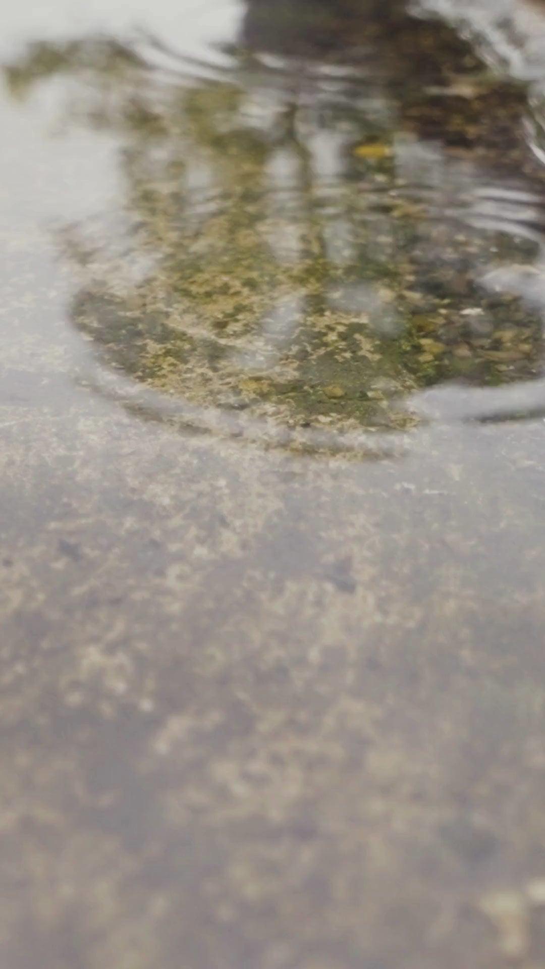 Calm water surface with a few drops creating gentle waves